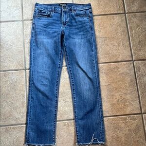 Banana Republic Women's Straight Leg Blue Jeans Girlfriend- 27